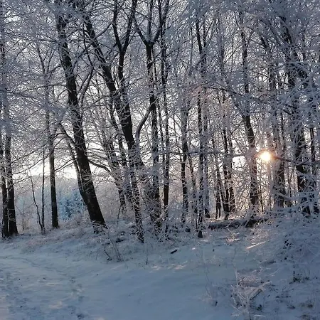 1-zimmer-studio Am Waldrand * Hammelbach