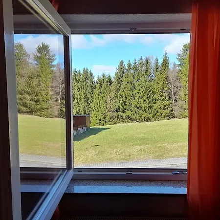 1-zimmer-studio Am Waldrand Apartment Hammelbach