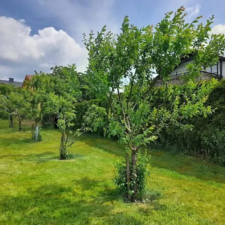 1-zimmer-studio Am Waldrand Hammelbach