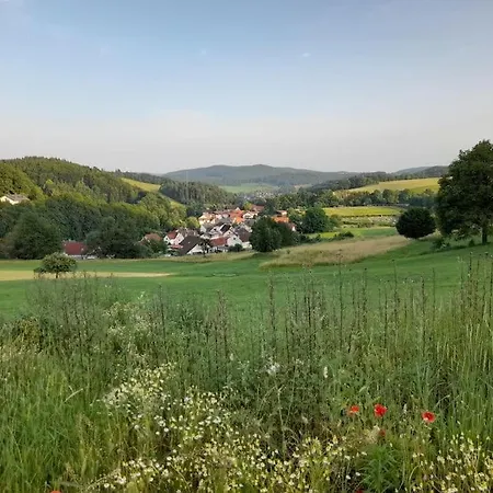 1-zimmer-studio Am Waldrand Apartment Hammelbach