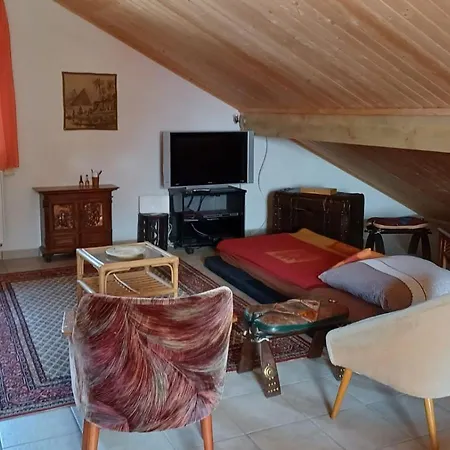 1-zimmer-studio Am Waldrand Apartment Hammelbach