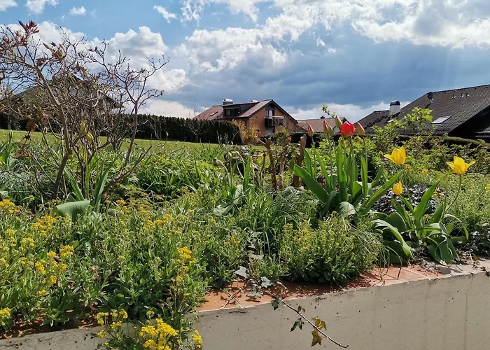 1-zimmer-studio Am Waldrand