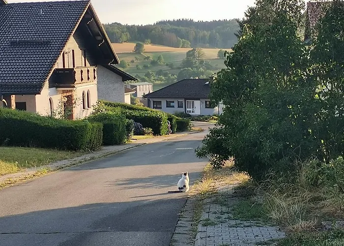 Apartment 1-zimmer-studio Am Waldrand Hammelbach
