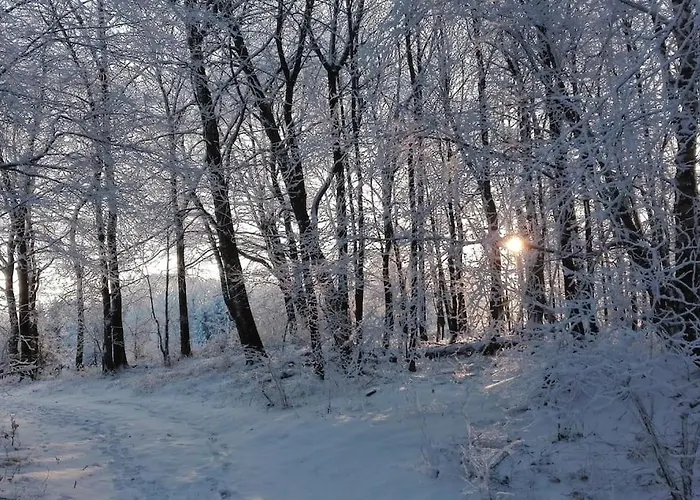 1-zimmer-studio Am Waldrand * Hammelbach