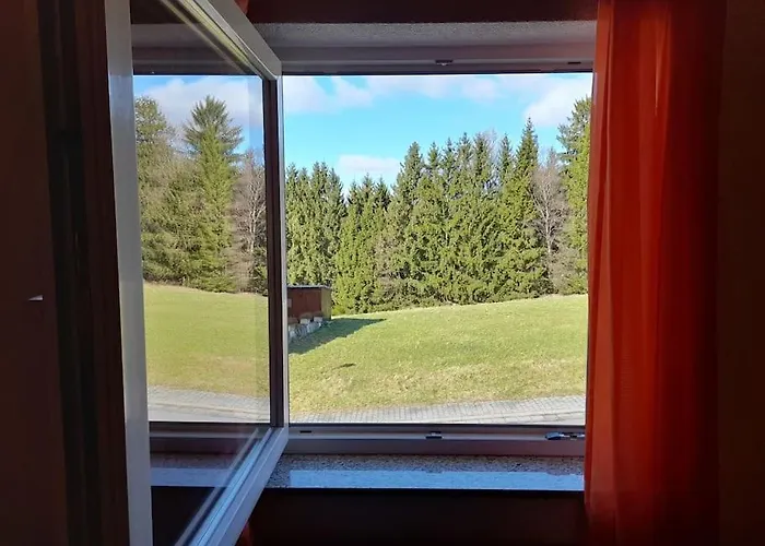 1-zimmer-studio Am Waldrand Apartment Hammelbach