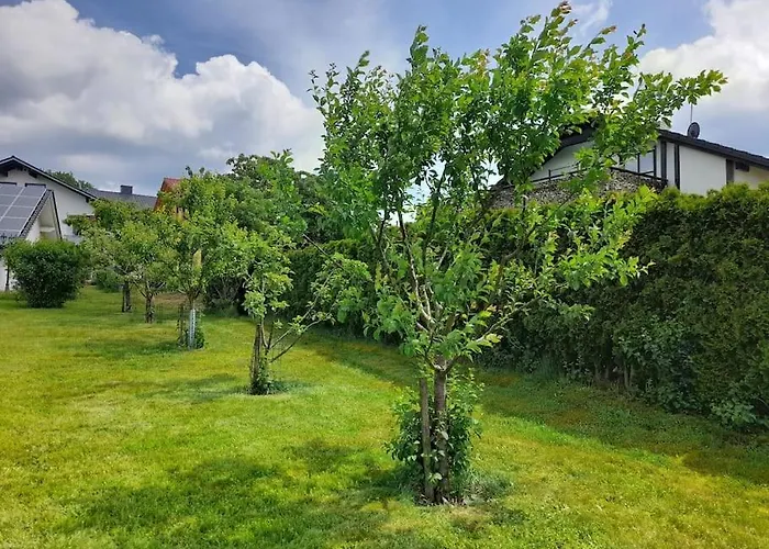 1-zimmer-studio Am Waldrand Hammelbach