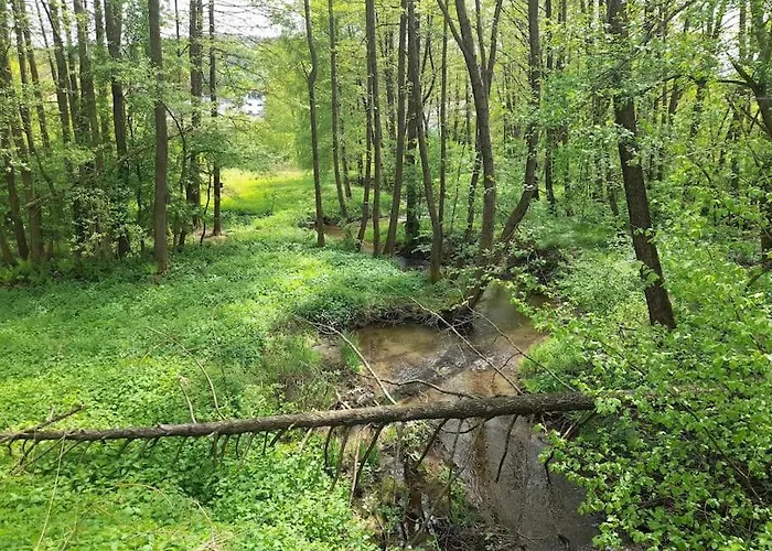 1-zimmer-studio Am Waldrand