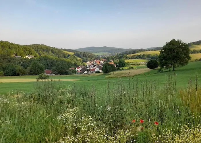 1-zimmer-studio Am Waldrand Apartment Hammelbach