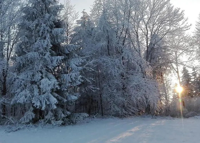 Apartment 1-zimmer-studio Am Waldrand