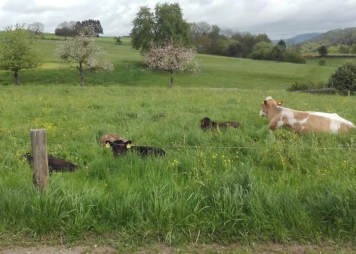 1-zimmer-studio Am Waldrand