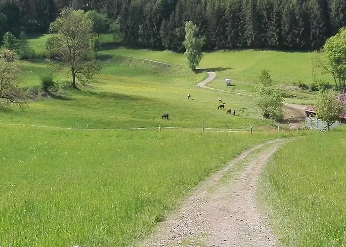 Apartment 1-zimmer-studio Am Waldrand Hammelbach