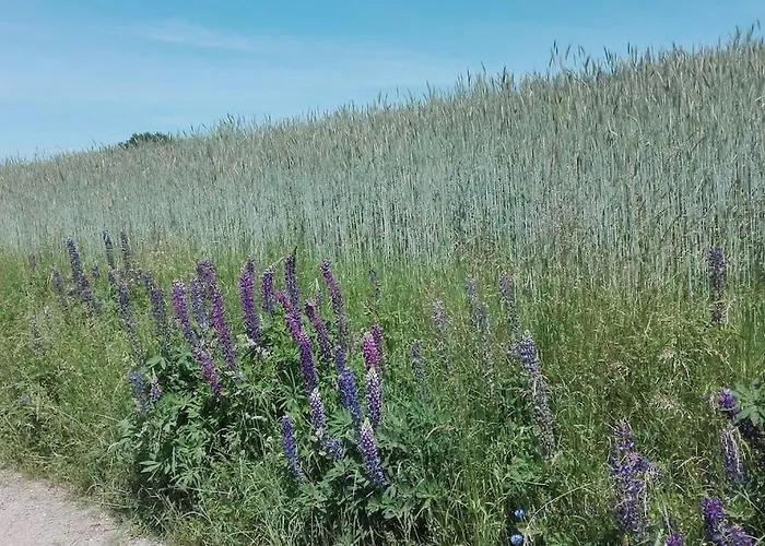 1-zimmer-studio Am Waldrand Apartment Hammelbach